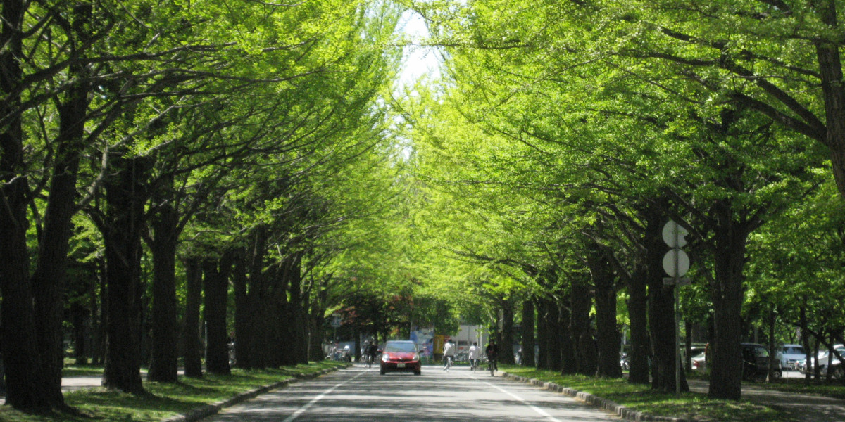北海道大学