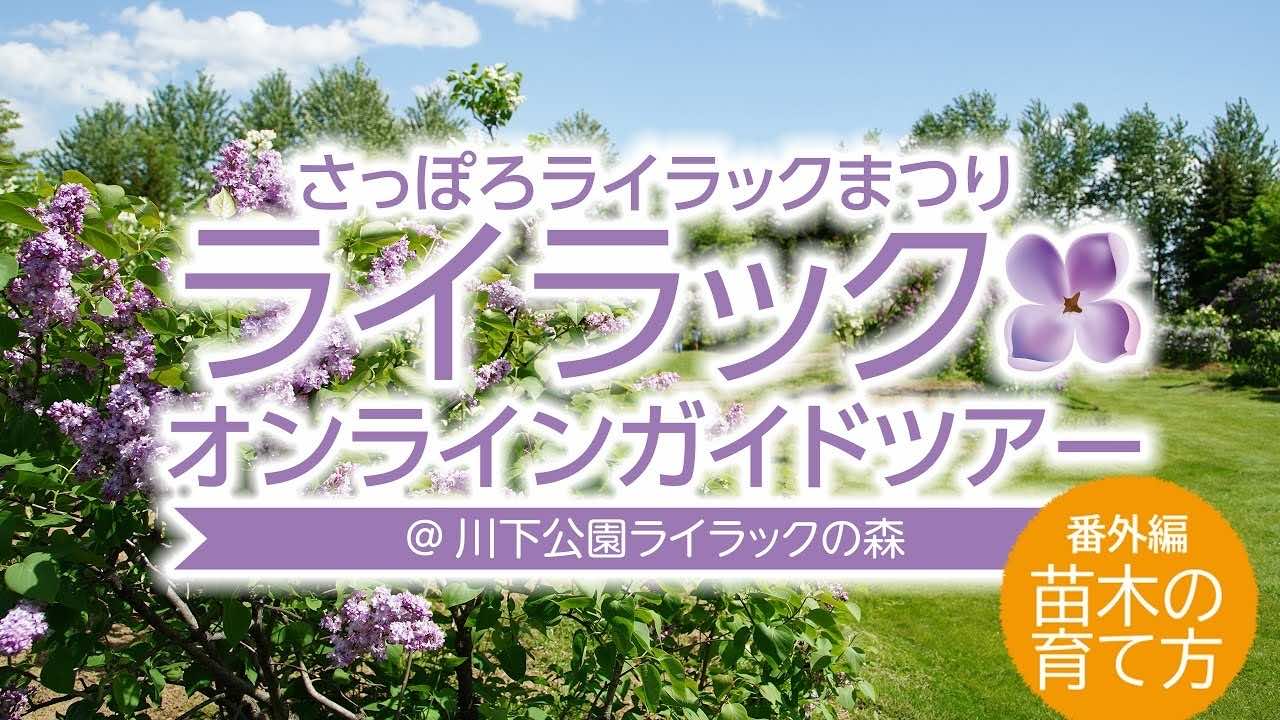 2019年さっぽろライラックまつり　ダイジェストムービー